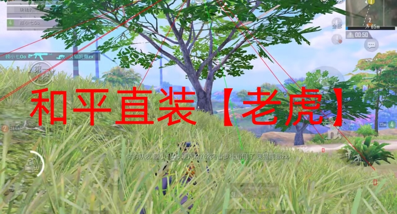 和平精英透视自瞄锁头网站-和平直装【老虎