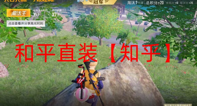 和平精英透视自瞄辅助器下载-和平直装【知