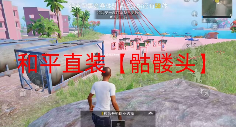 和平精英透视自瞄防封版-和平直装【骷髅头